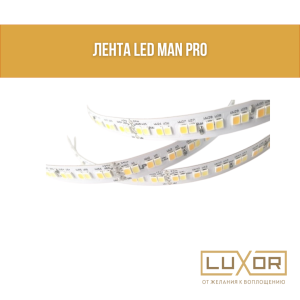 Лента LED MAN Pro 16вт/м 6000К  10мм (5м/кат)