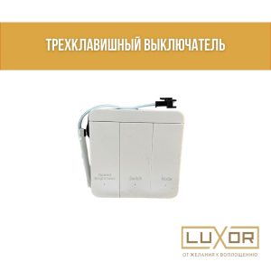 Выключатель настенный кнопочный для DIGITAL RUNNING