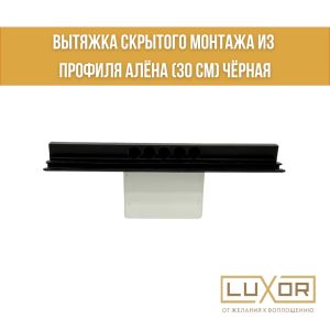 Вытяжка скрытого монтажа Алтеза 30см черная